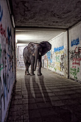 Photo Credit: PSMandrake. Marco Garofalo. via Compfight cc