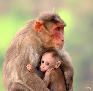 Photo Credit: Yogendra174 via Compfight cc