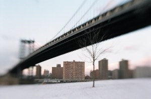 Photo Credit: Miguel Ariel Contreras Drake-McLaughlin via Compfight cc