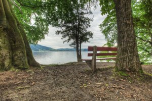 Photo Credit: MeckiMac via Compfight cc