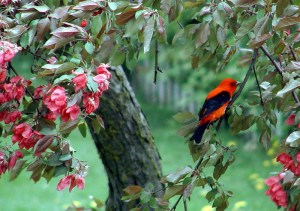 Photo Credit: budandjackie via Compfight cc