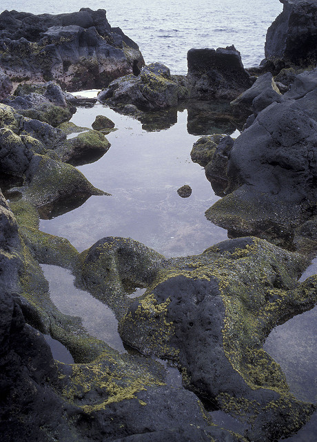 111206516_472b0a740c_z (2)